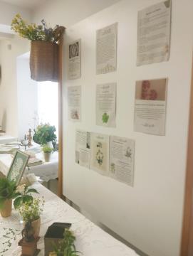 razstava Pehtin cekar2